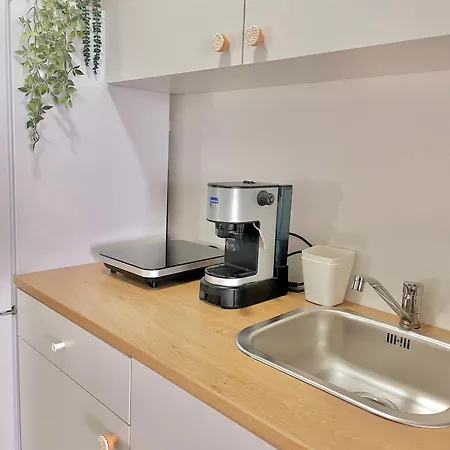 Alternus-apartman Dora * Ičići